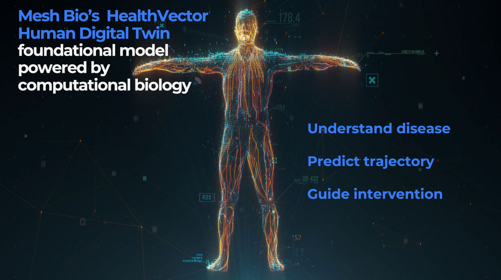 Visualisasi dari teknologi digital twin Mesh Bio.png