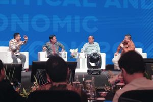 WhatsApp Image 2024-01-31 at 15.55.11.jpeg