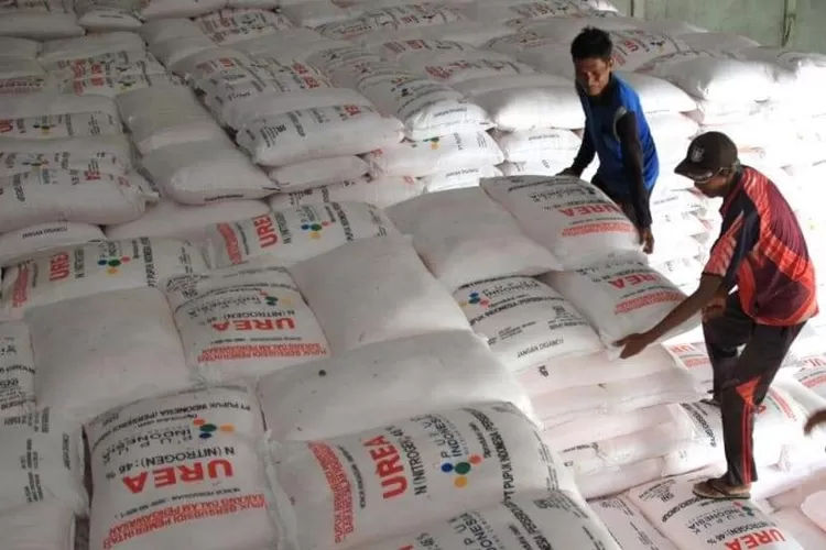 Pupuk di sebuah gudang. Jawa Timur memerlukan banyak pupuk untuk pertanian