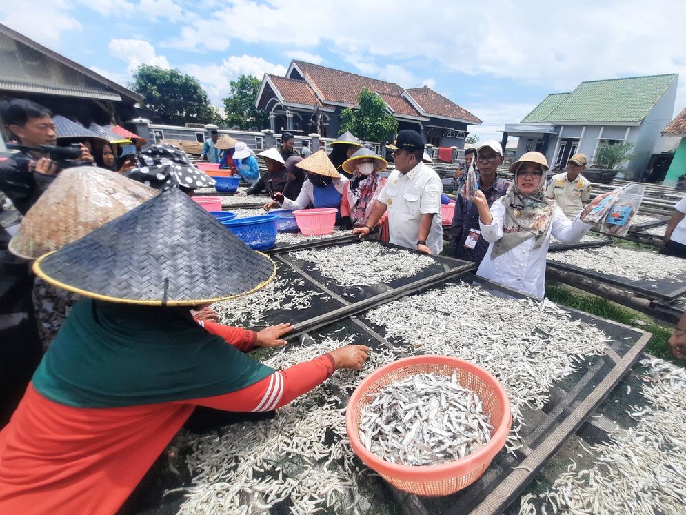 kalamo pulau pasaran.jpg