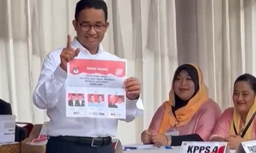 Anies-cak.png