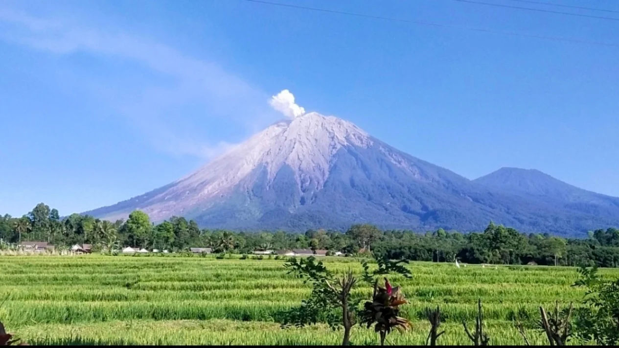 GUNUNG SEMERU LONTARKAN ABU VULKANIK SETINGGI 1.000 METER - Halojatim.com