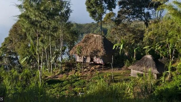 Puluhan Tewas dalam Perselisihan Antarsuku di Daerah Terpencil Papua New Nugini