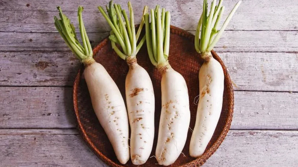 Lobak putih, atau yang sering disebut juga lobak atau radish, adalah jenis sayuran yang tergolong dalam keluarga Brassicaceae.