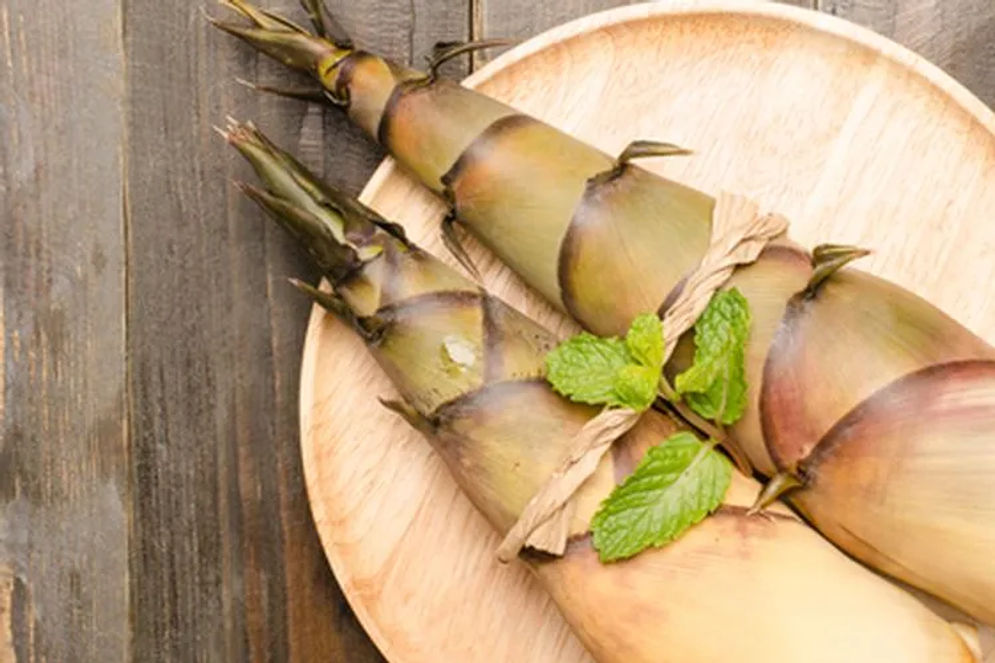 Rebung bambu adalah tunas muda yang nantinya menjelma dari rumpun tanaman bambu. Kelembutan teksturnya, kehijauan segarnya, dan keanggunan bentuk silindrisnya membawa pesona tersendiri. 