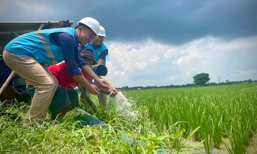 Electrifying Agriculture (EA) merupakan terobosan dari PLN dalam memanfaatkan energi listrik di bidang agrikultur seperti pertanian, perikanan, perkebunan serta peternakan