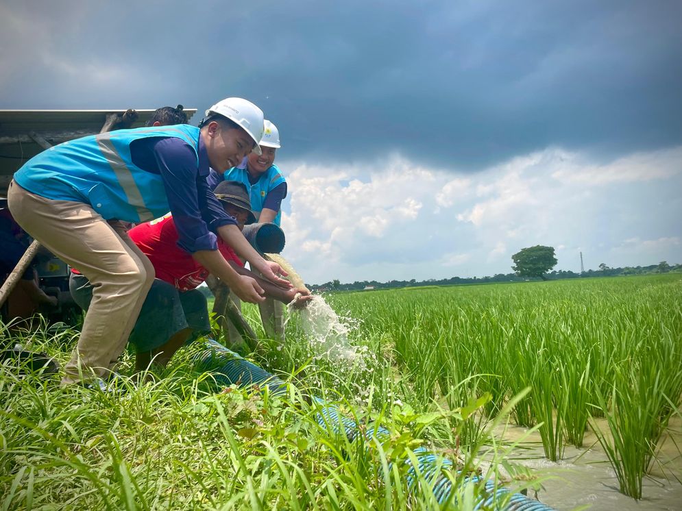 Para Petani Desa Klunjukan Jawa Tengah Sudah Menggunakan EA