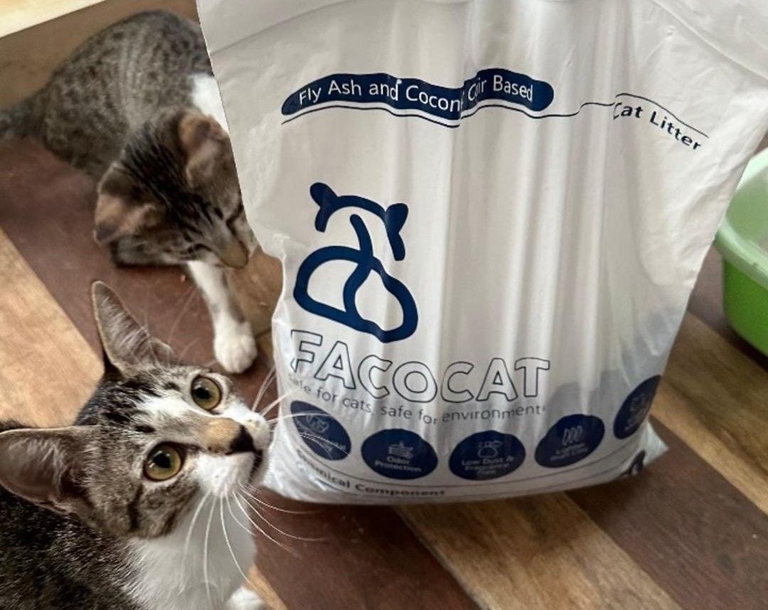 Inovasi Facocat, pasir kucing ramah lingkungan berbahan dasar fly ash dan arang aktif besutan tim mahasiswa ITS.