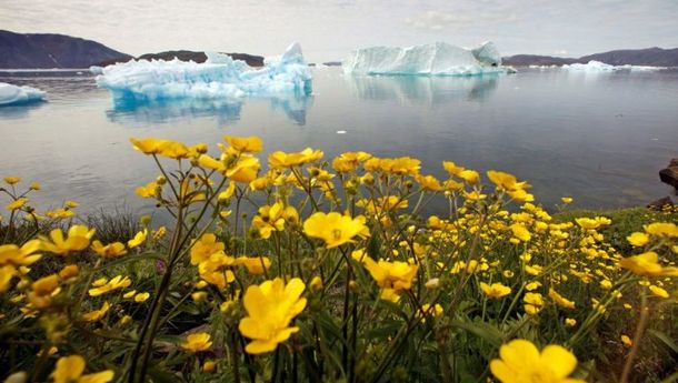 Meningkatnya Pemanasan di Laut Es Arktik Bisa Percepat Perubahan Iklim Global