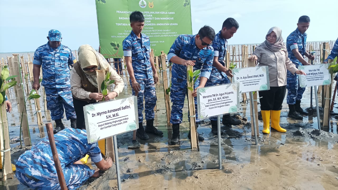 Jaga Ketahanan Wilayah NKRI, BRGM Kerja Sama dengan TNI AU Tanam Mangrove 