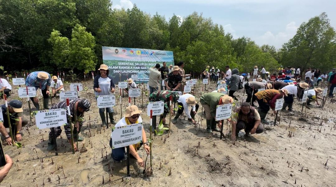 PT PLN (Persero) PT PLN (Persero) bersinergi menggelar aksi penanaman 1.000 pohon mangrove dalam peringatan Hari Bakti Rimbawan ke-41 di Desa Tanah Merah, Kecamatan Kupang Tengah, Kabupaten Kupang, Nusa Tenggara Timur (NTT), pada Kamis, 7 Maret 2024.