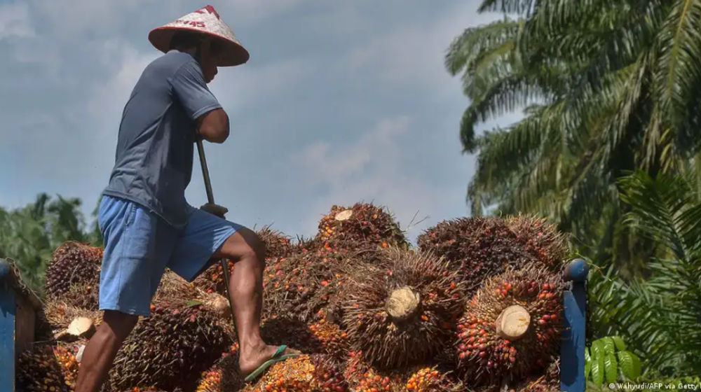 Malaysia merupakan produsen minyak sawit terbesar kedua di dunia setelah Indonesia