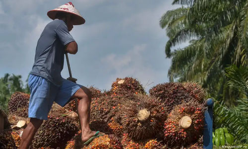 Malaysia merupakan produsen minyak sawit terbesar kedua di dunia setelah Indonesia