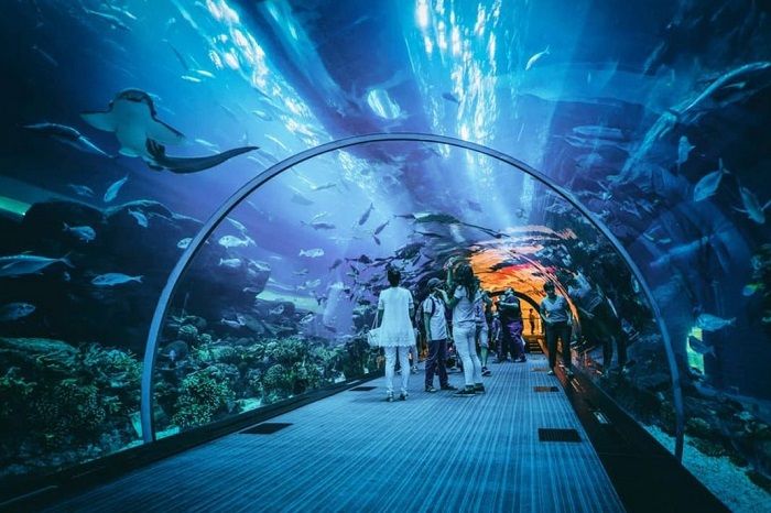 Jakarta Aquarium (blibli)