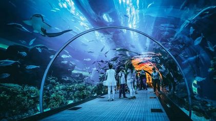 Jakarta Aquarium.jpeg