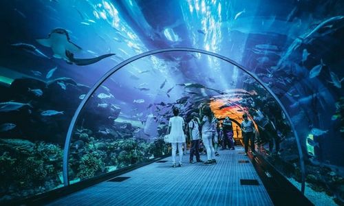 Jakarta Aquarium.jpeg