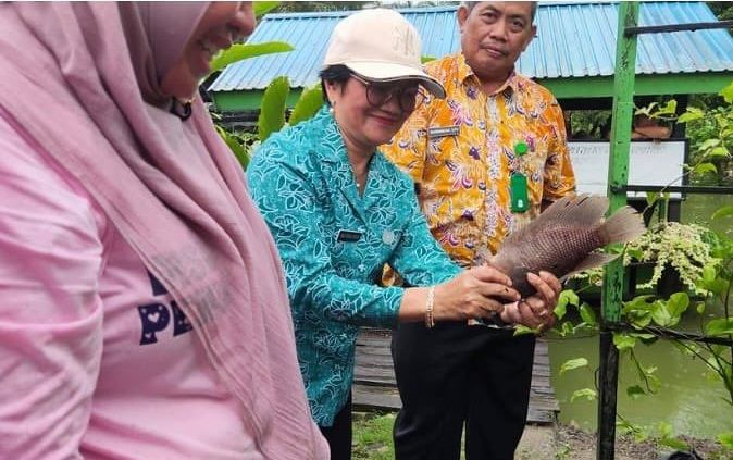  Ketua Tim Penggerak Pemberdayaan dan Kesejahteraan Keluarga (TP-PK) Kabupaten Penajam Paser Utara (PPU) Linda Romauli Siregar panen raya sayur dan ikan, di Pondok Arwana Desa Sebakung Jaya Kecamatan Babulu.