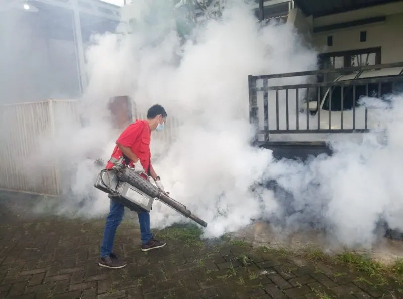 Delapan Tips Dan Langkah Pencegahan Demam Berdarah Dengue - Kabarsiger.com