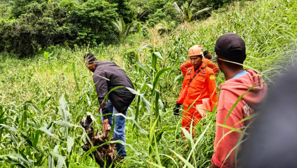 Tim SAR Gabungan Maumere Cari Seorang Perempuan Tua yang Belum Pulang dari Kebun Sejak Rabu