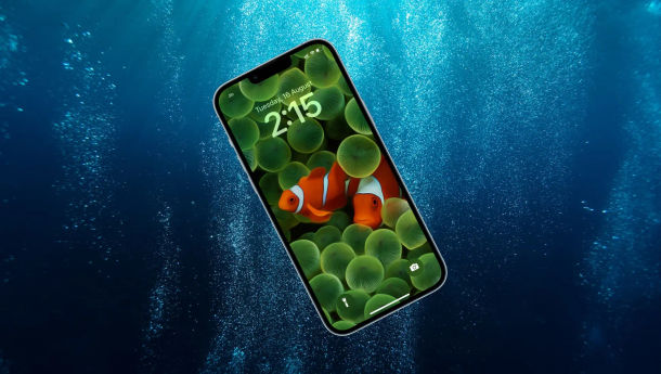 Masukan iPhone ke Beras Habis Jatuh ke Air, Tepat atau Sesat?