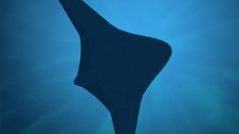 manta ray.jpg