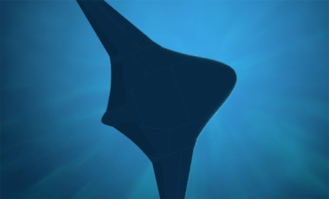 manta ray.jpg