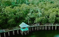 Mentawir.webp