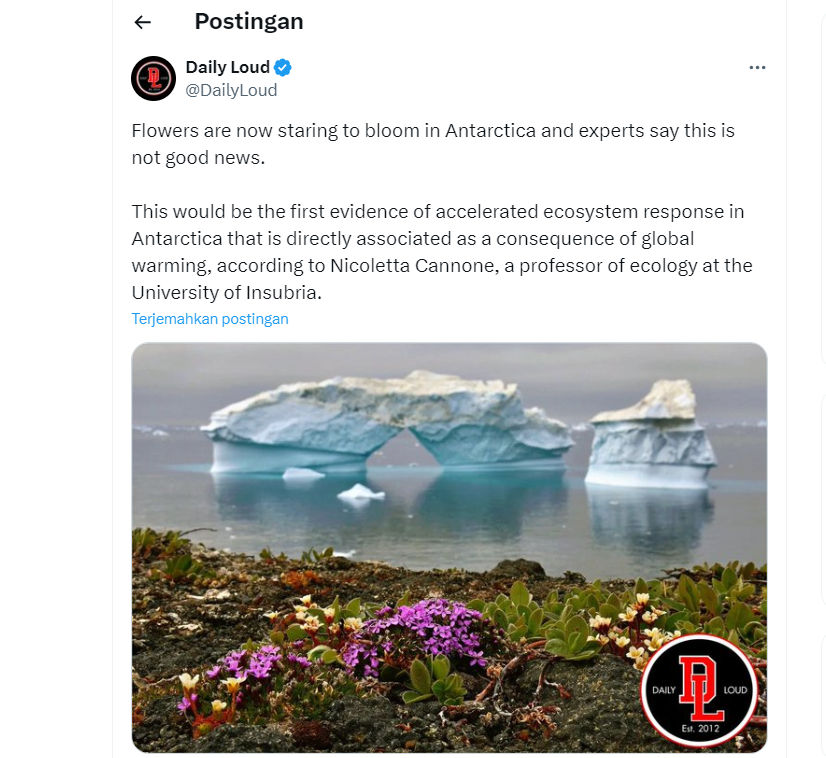 Postingan X tentang Bunga di Antartika