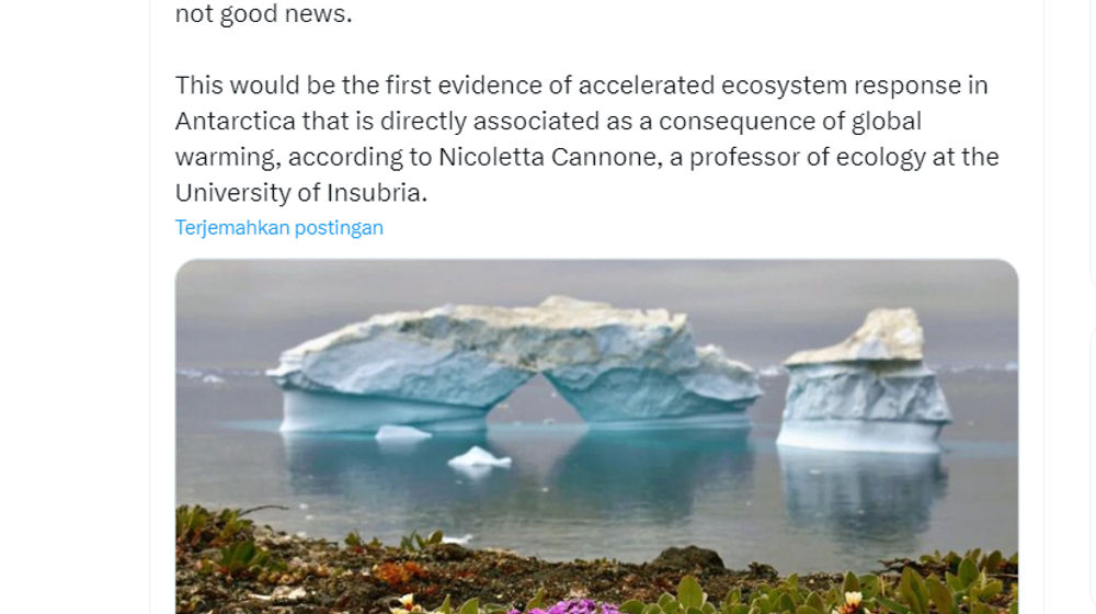 Bunga di Antartika.png