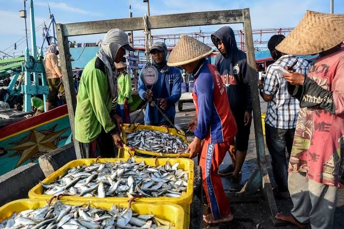 Ilustrasi: Tempat Pelelangan Ikan Kecamatan Anggana dan Samboja Kabupaten Kutai Kartanegara.