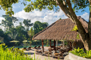 Adiwana Suweta, Indonesia