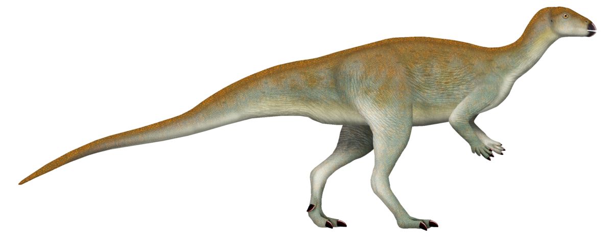 Ilustrasi dinosaurus jenis Chakisaurus nekul