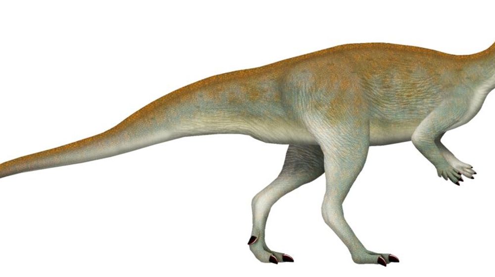 Ilustrasi dinosaurus jenis Chakisaurus nekul