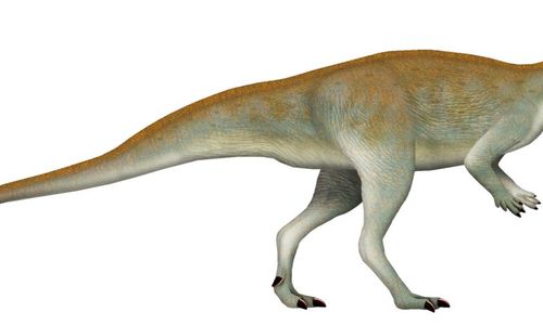 Ilustrasi dinosaurus jenis Chakisaurus nekul