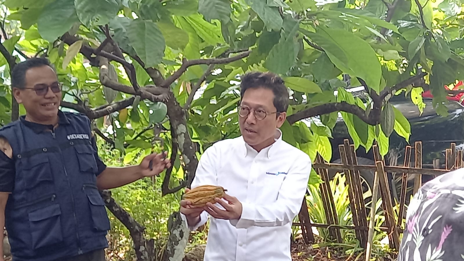 Maqin Norhadi, Direktur Pelaksana Pengembangan Bisnis LPEI, memperlihatkan buah kakao yang diproduksi di Desa Nglanggeran, Gunung Kidul, Yogyakarta dalam rangkaian acara Press Tour Kemenkeu, Kamis, 2 Mei 2024.