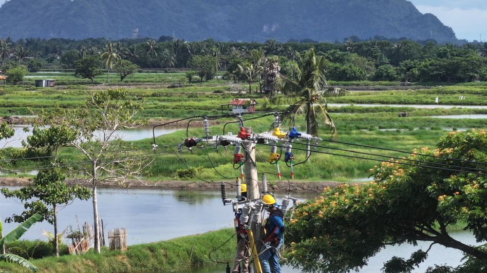 Ilustrasi PLN (4).jpeg