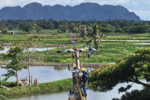 Ilustrasi PLN (4).jpeg