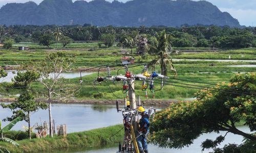 Ilustrasi PLN (4).jpeg