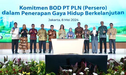 PLN