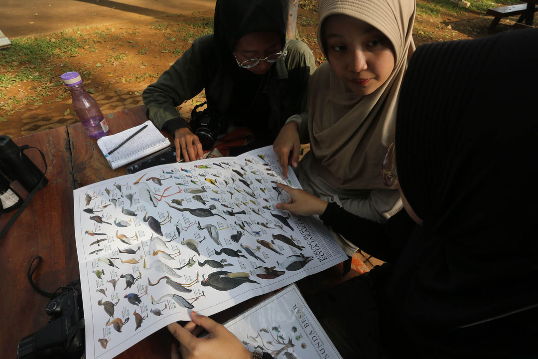 Nampak sejumlah anggota Biodiversity Warriors Yayasan KEHATI melakukan pengamatan flora dan fauna dalam rangka memperingati Hari Keanekaragaman Hayati Sedunia 2024,  di Kawasan Tebet Eco Park Jakarta 16 Mei 2024. Foto : Panji Asmoro/TrenAsia