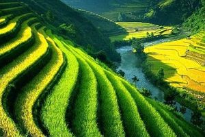 Ilustrasi Subak Bali.