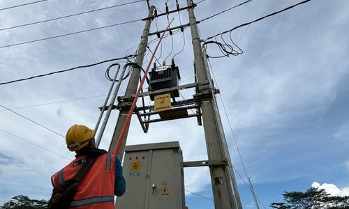 PLN