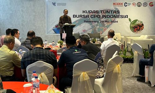 pakanbaru1.jpg