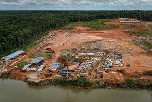 Penggundulan Hutan di Papua