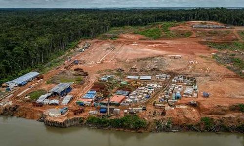 Penggundulan Hutan di Papua