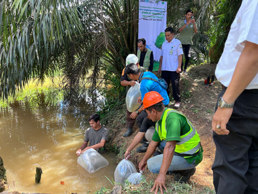 PTPN IV Regional 4 Beri Bantuan Benih Ikan ke Masyarakat Sekitar Wilayah Kerja