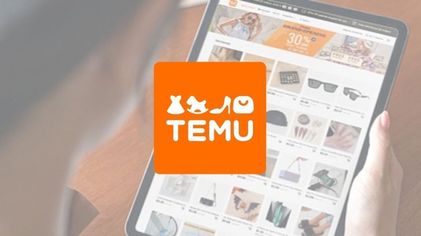 Temu-E-commerce-site-960x520.jpg