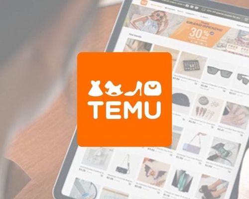 Temu-E-commerce-site-960x520.jpg