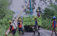 PLN