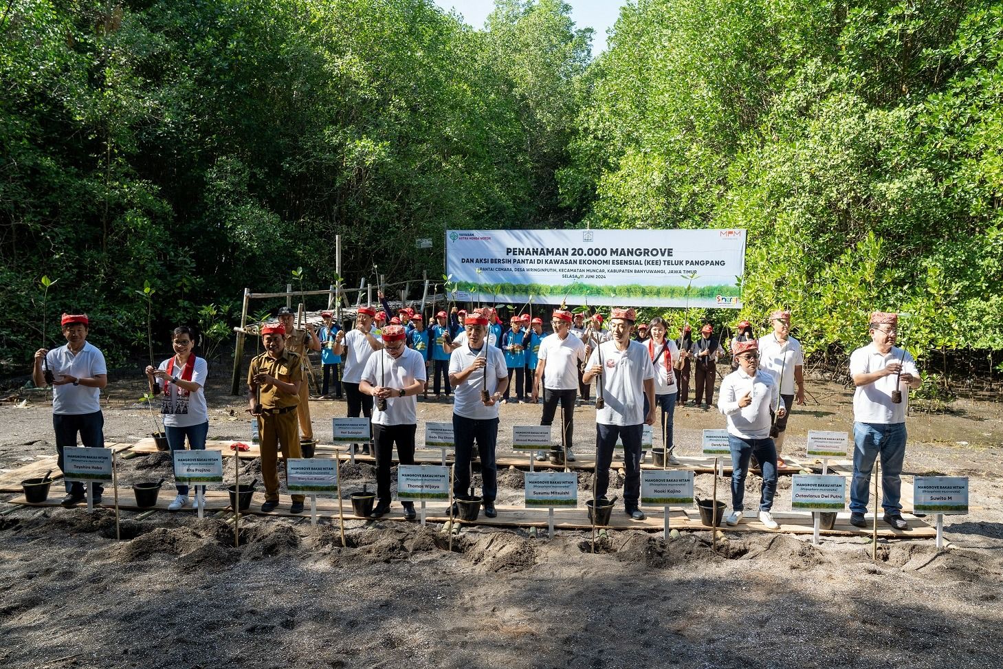 Peringati Hari Lingkungan Hidup Sedunia, AHM Tanam Puluhan Ribu Mangrove